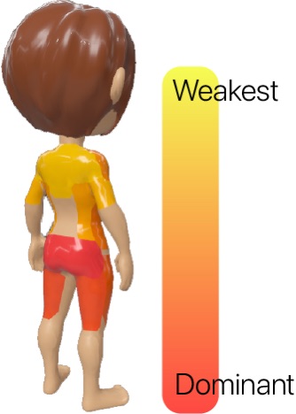 Program statistics view